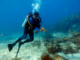 Arnie with a Scorpionfish IMG 3144